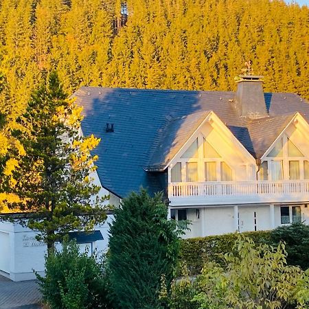 Landhaus Muehlenberg Willingen  Kültér fotó