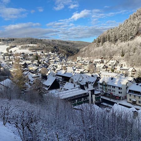 Landhaus Muehlenberg Willingen  Kültér fotó