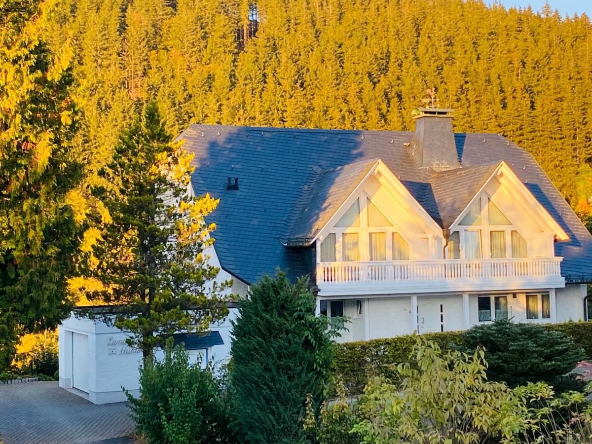 Landhaus Muehlenberg Willingen  Kültér fotó