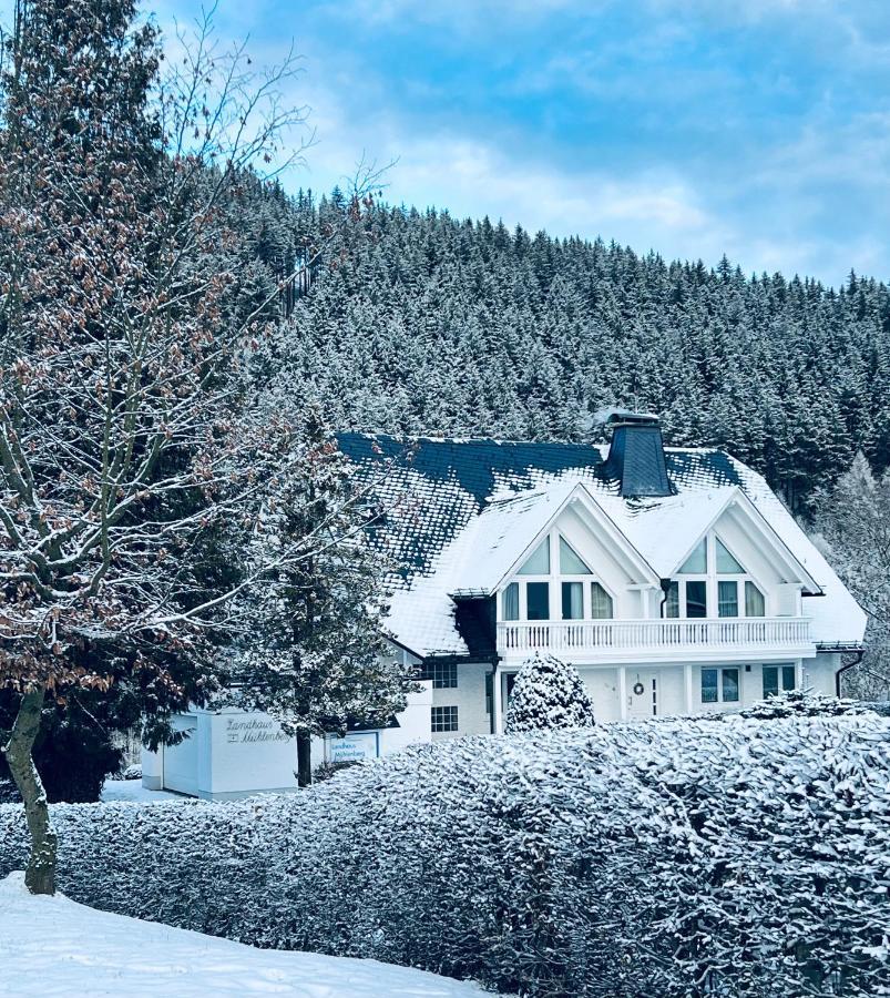 Landhaus Muehlenberg Willingen  Kültér fotó