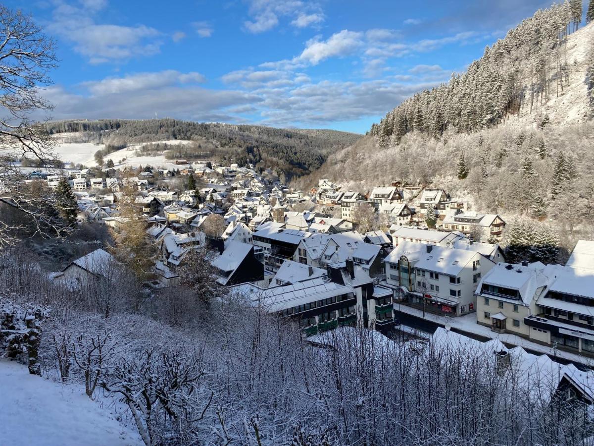 Landhaus Muehlenberg Willingen  Kültér fotó